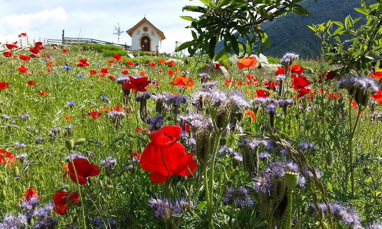 Forster'S Naturresort Neustift im Stubaital Zewnętrze zdjęcie